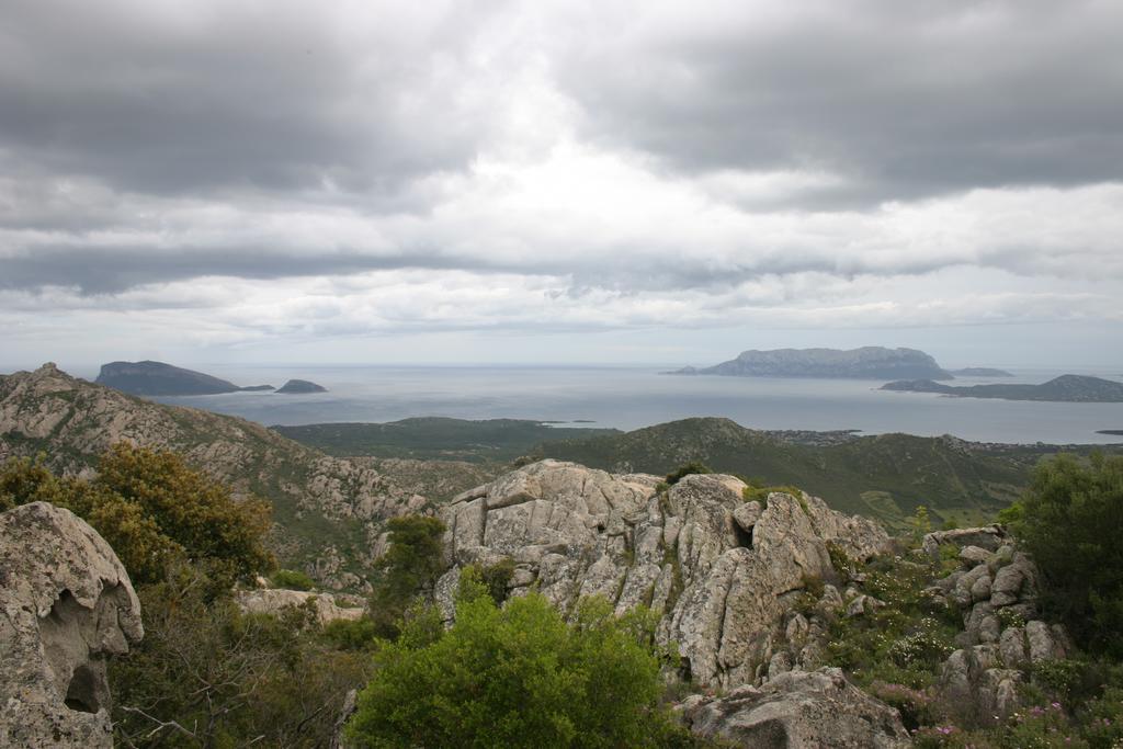 Agriturismo Cabu Abbas Βίλα Όλμπια Εξωτερικό φωτογραφία